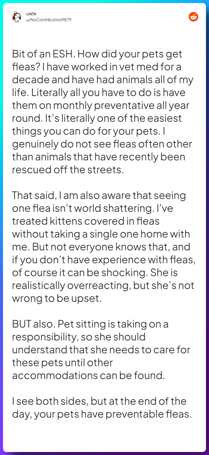 Comment from u/NoContribution9879