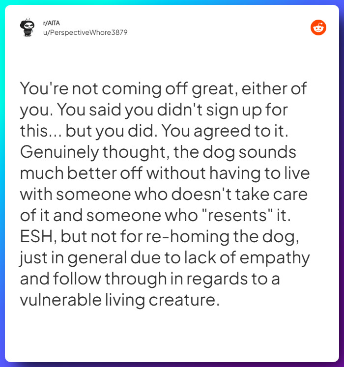 Comment from u/PerspectiveWhore3879