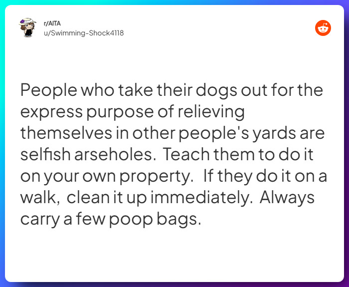 Comment from u/Swimming-Shock4118