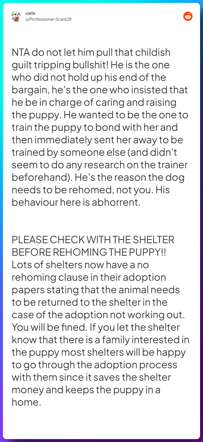 Comment from u/Professional-Scar628