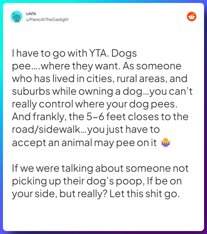 Comment from u/PanicAtTheGaslight