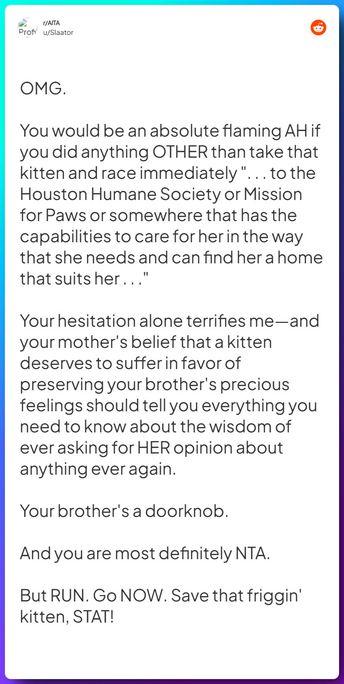 Comment from u/Slaator