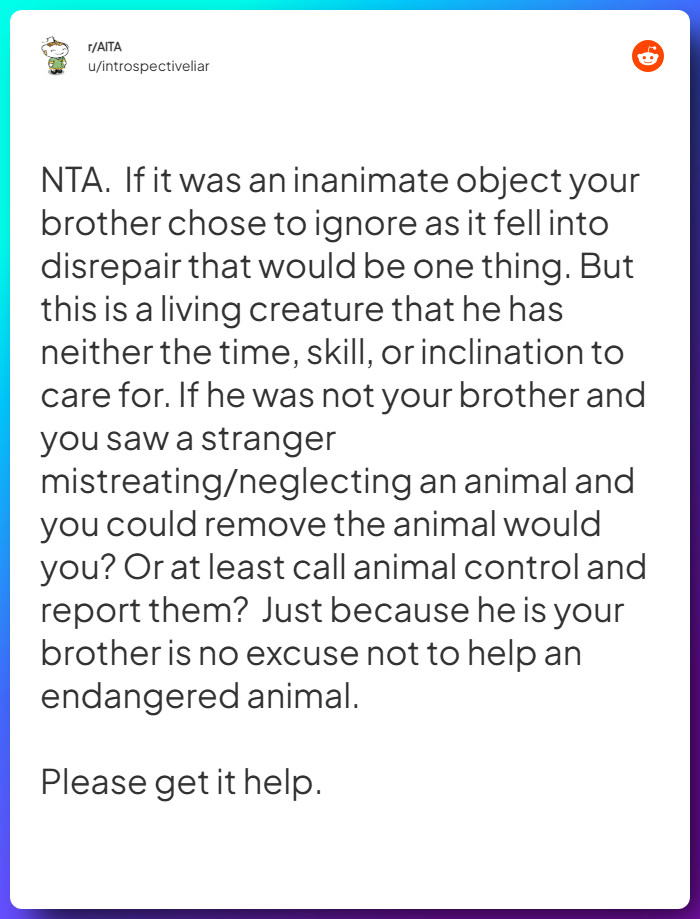 Comment from u/introspectiveliar