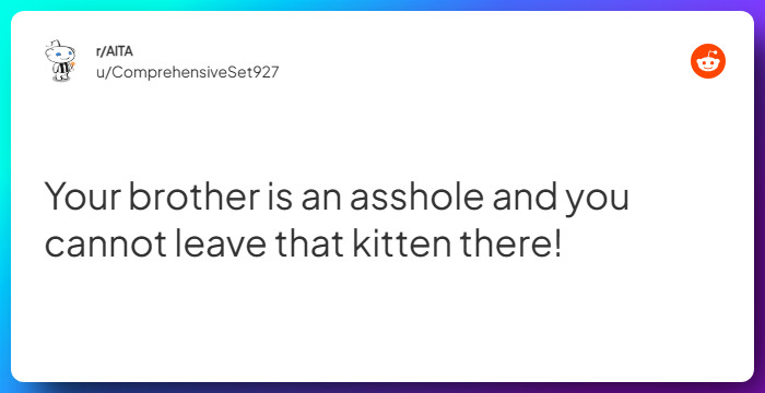 Comment from u/ComprehensiveSet927