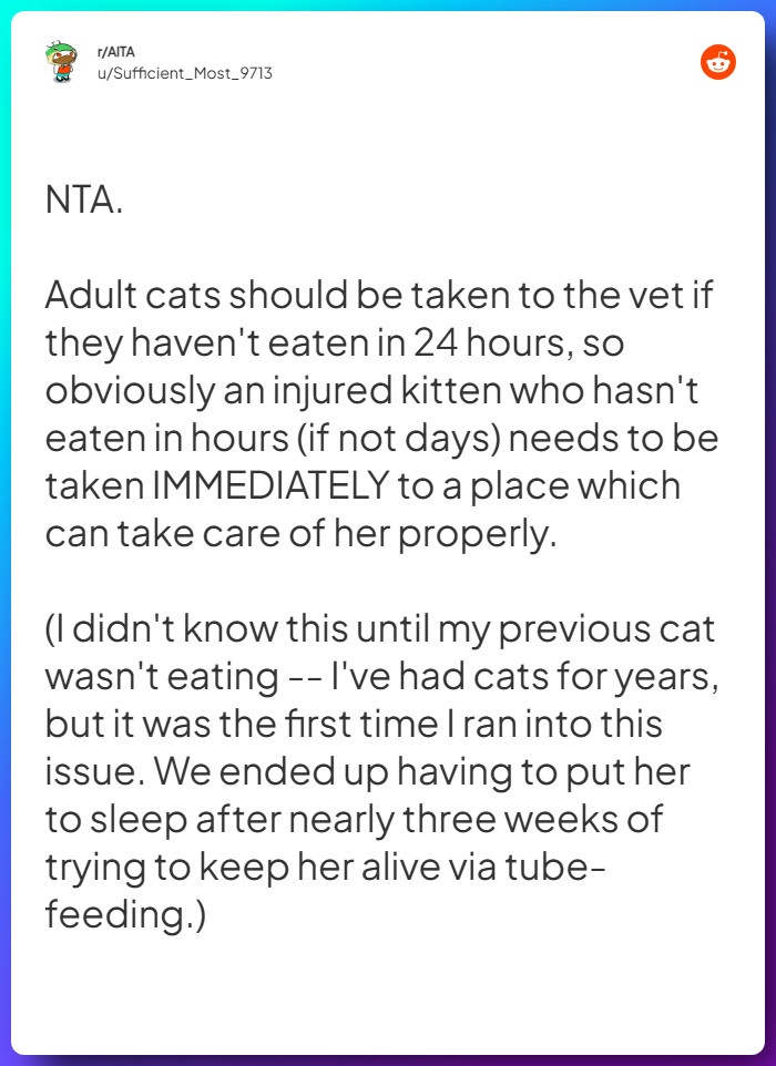 Comment from u/Sufficient_Most_9713