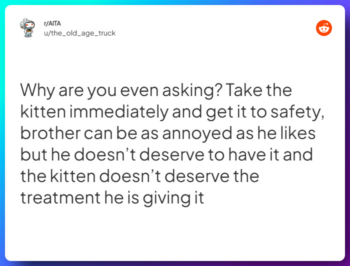 Comment from u/the_old_age_truck