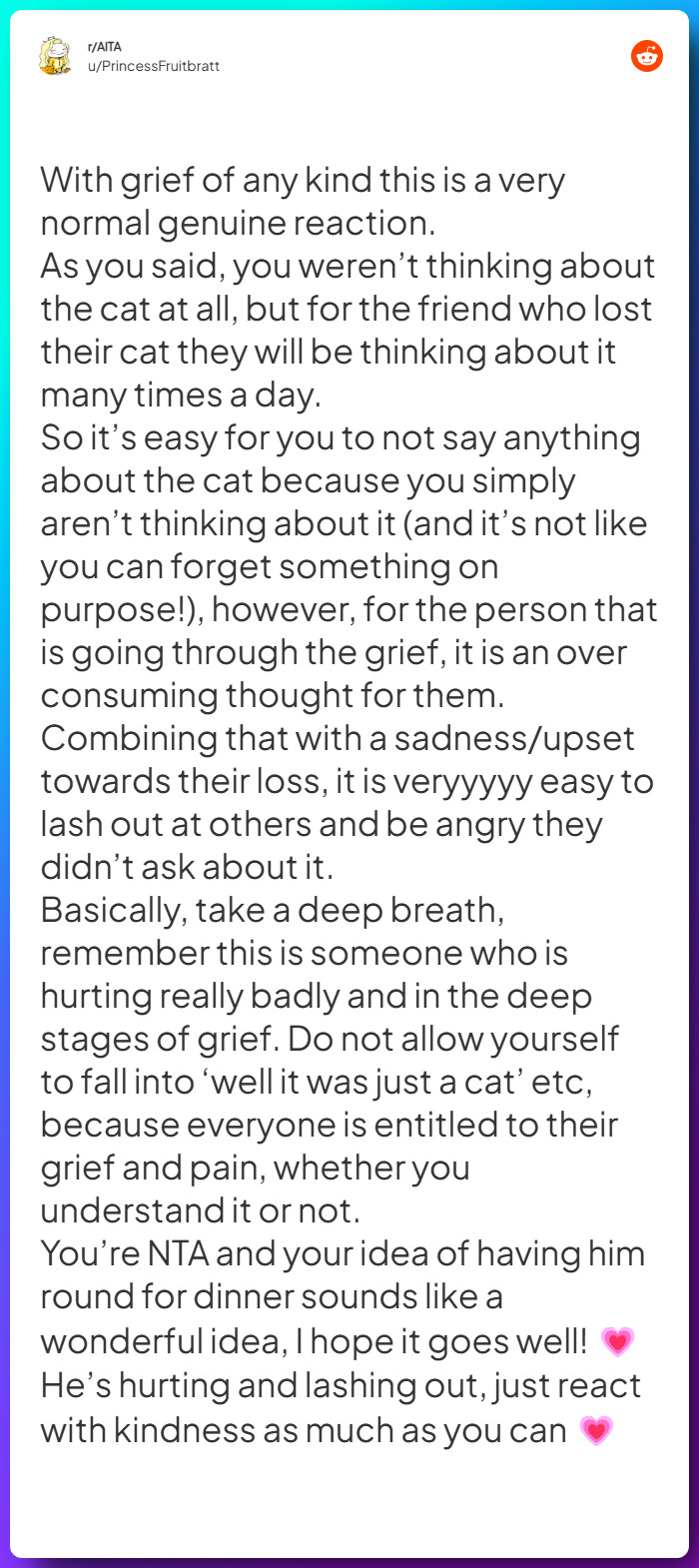 Comment from u/PrincessFruitbratt