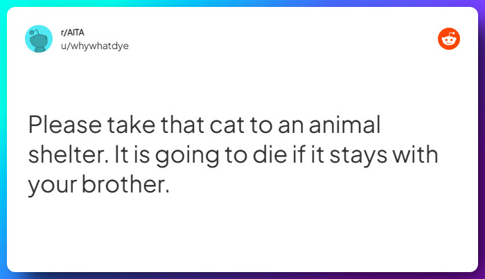 Comment from u/whywhatdye