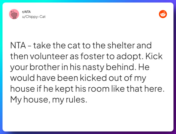 Comment from u/Chippy-Cat