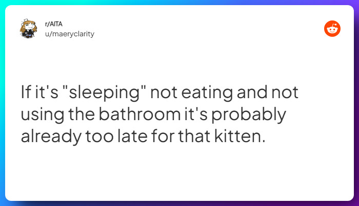 Comment from u/maeryclarity