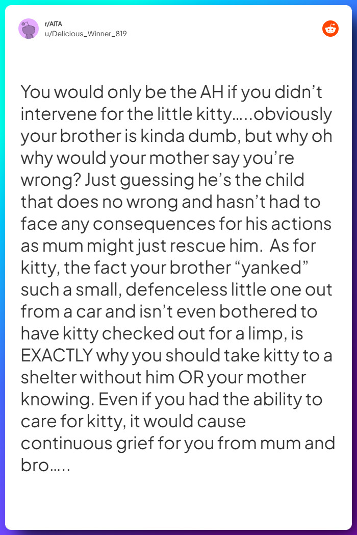 Comment from u/Delicious_Winner_819