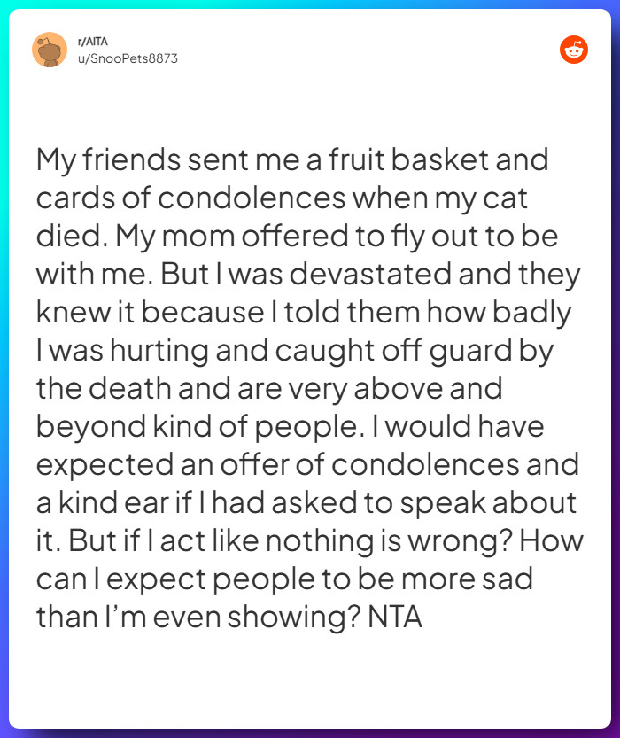 Comment from u/SnooPets8873