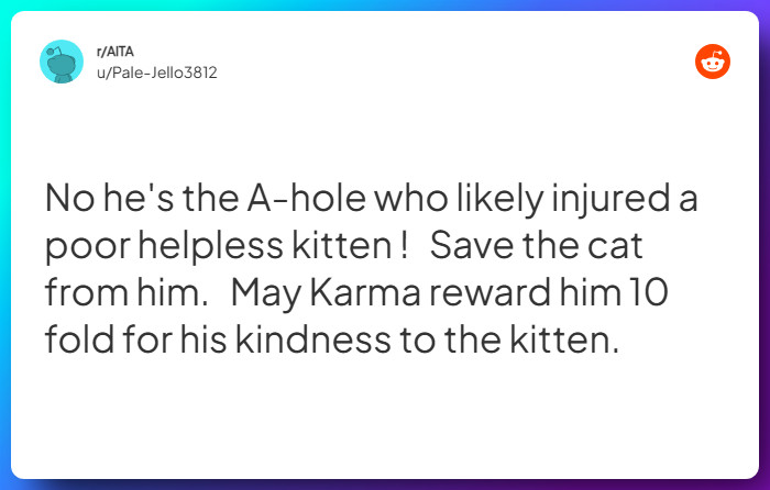 Comment from u/Pale-Jello3812