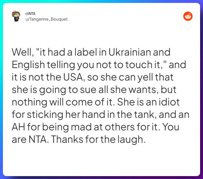 Comment from u/Tangerine_Bouquet