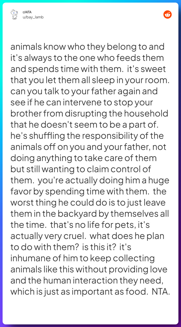 Comment from u/bay_lamb