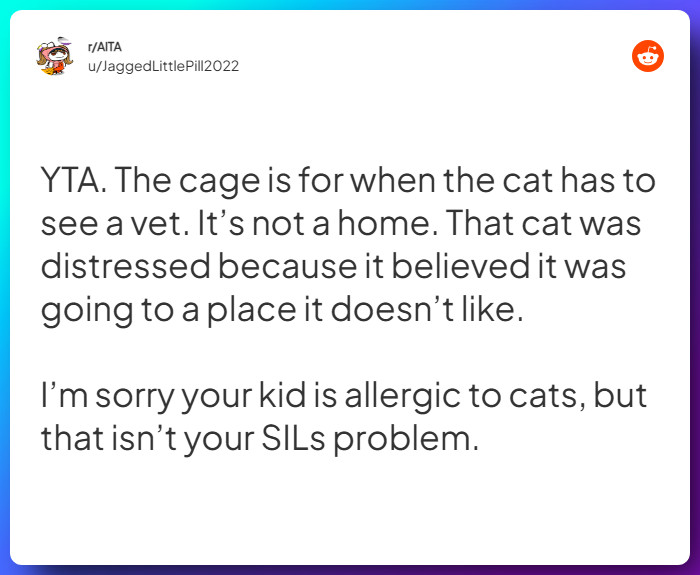 Comment from u/JaggedLittlePill2022