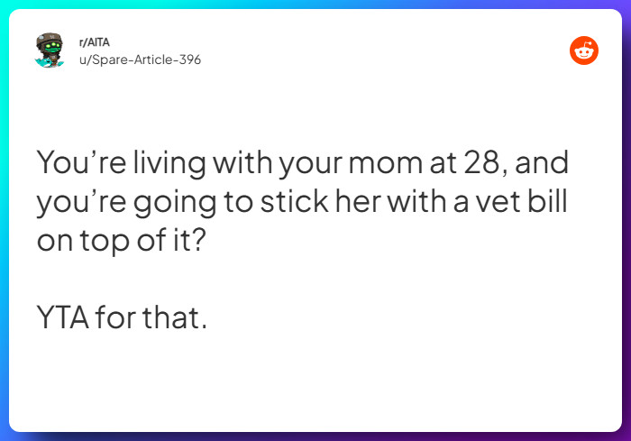 Comment from u/Spare-Article-396