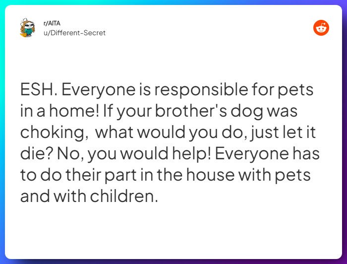 Comment from u/Different-Secret