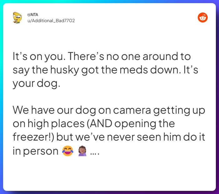 Comment from u/Additional_Bad7702