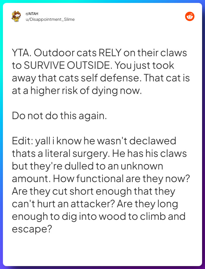 Comment from u/Disappointment_Slime