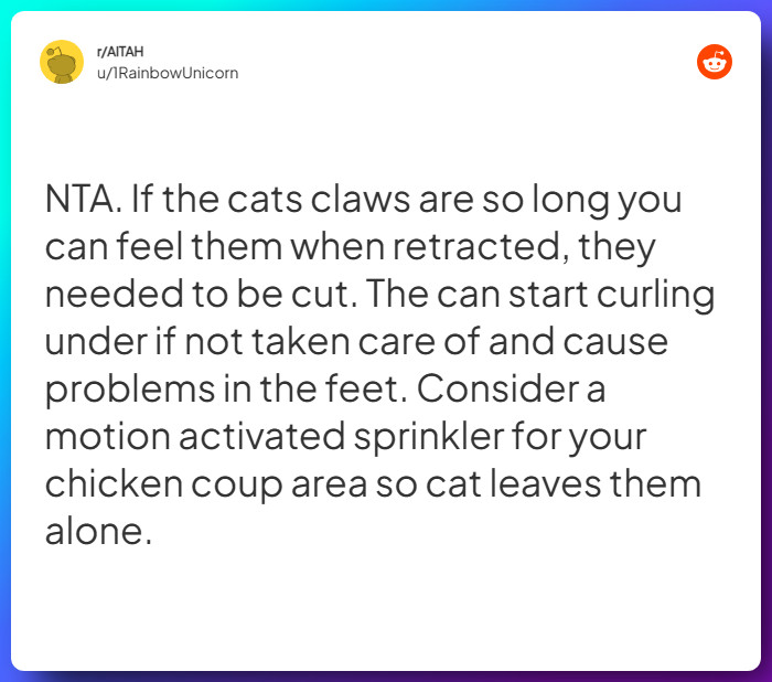 Comment from u/1RainbowUnicorn