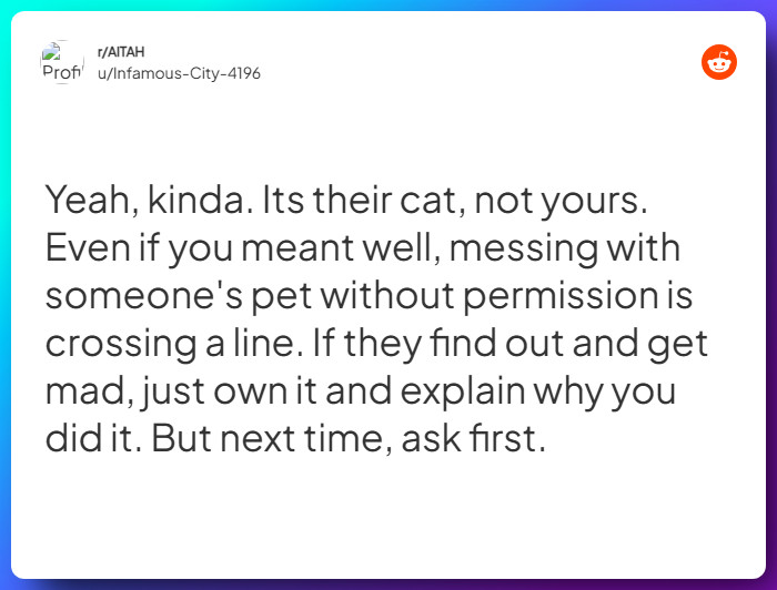 Comment from u/Infamous-City-4196