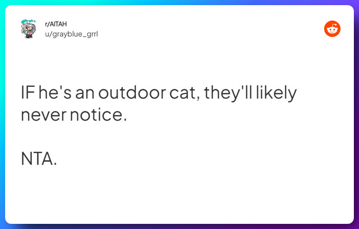 Comment from u/grayblue_grrl