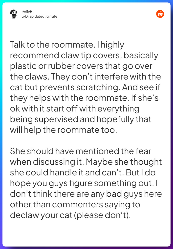 Comment from u/Dilapidated_girrafe