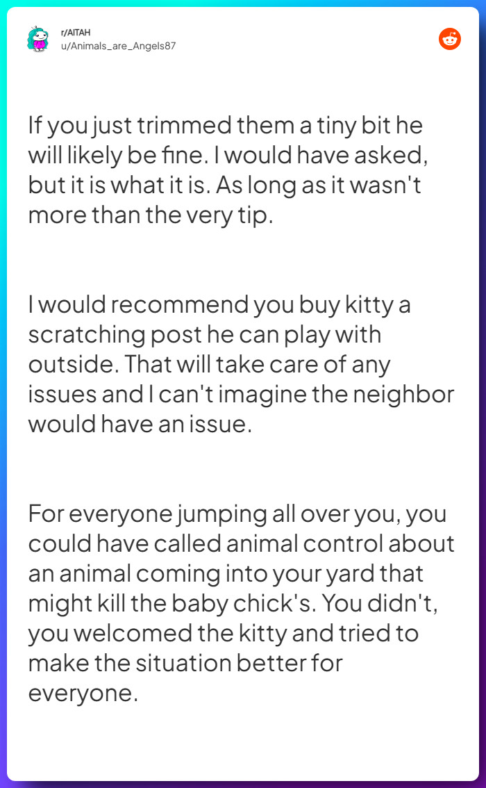 Comment from u/Animals_are_Angels87