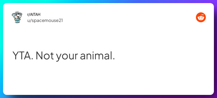 Comment from u/spacemouse21