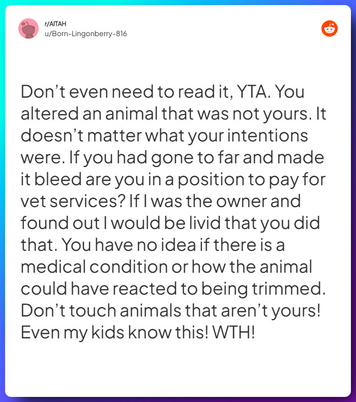 Comment from u/Born-Lingonberry-816