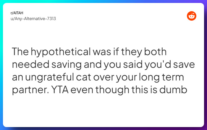 Comment from u/Any-Alternative-7313