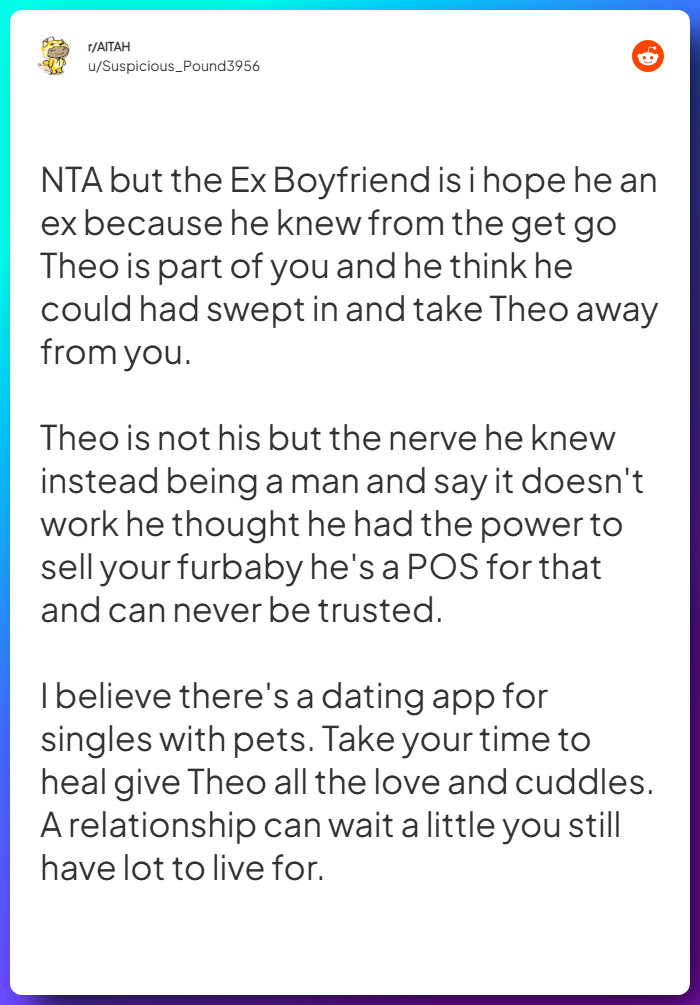 Comment from u/Suspicious_Pound3956