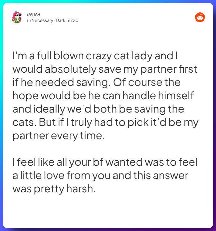 Comment from u/Necessary_Dark_6720