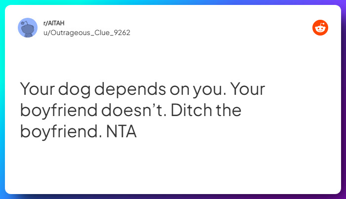 Comment from u/Outrageous_Clue_9262