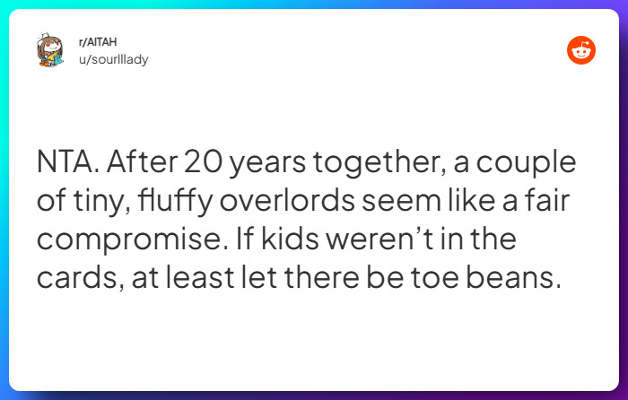 Comment from u/sourlllady