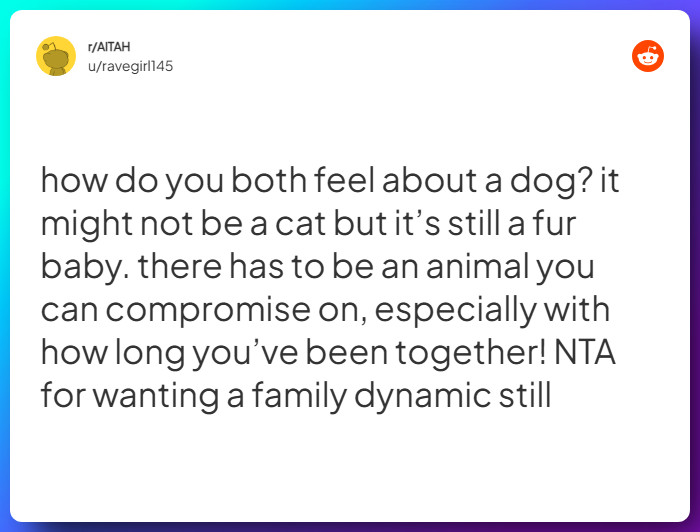 Comment from u/ravegirl145