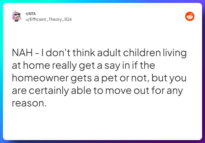 Comment from u/Efficient_Theory_826