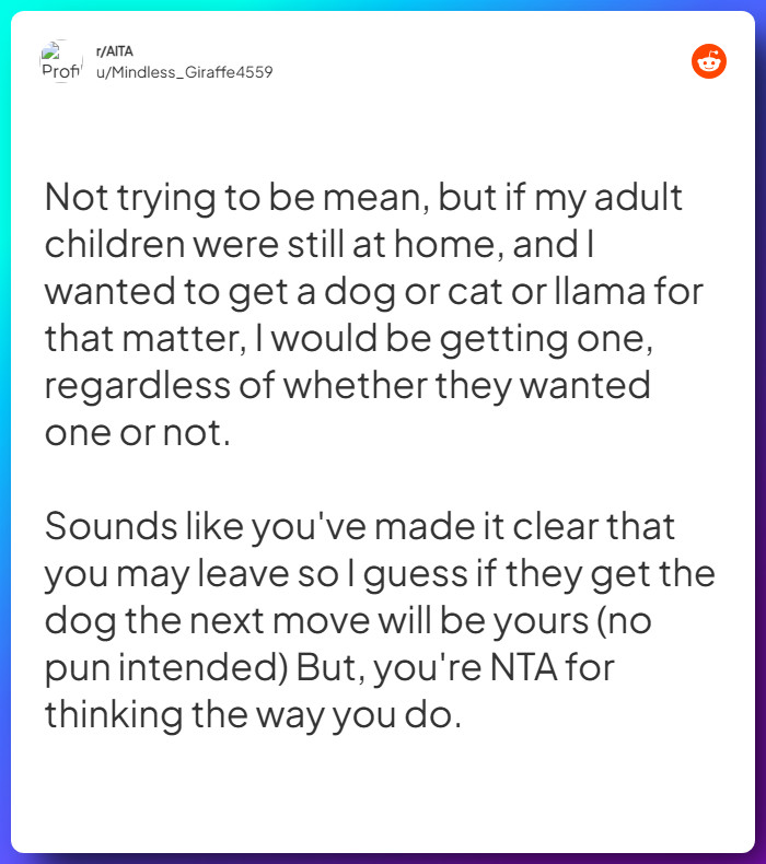 Comment from u/Mindless_Giraffe4559