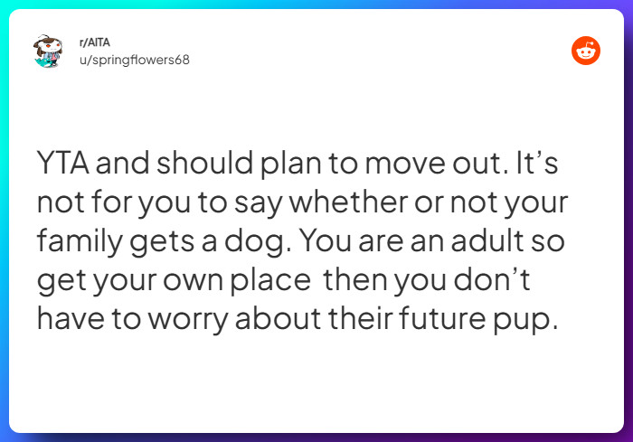 Comment from u/springflowers68