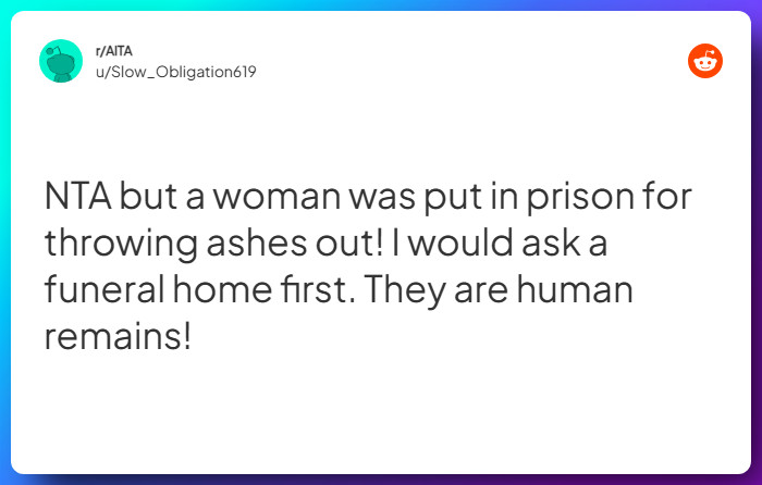 Comment from u/Slow_Obligation619