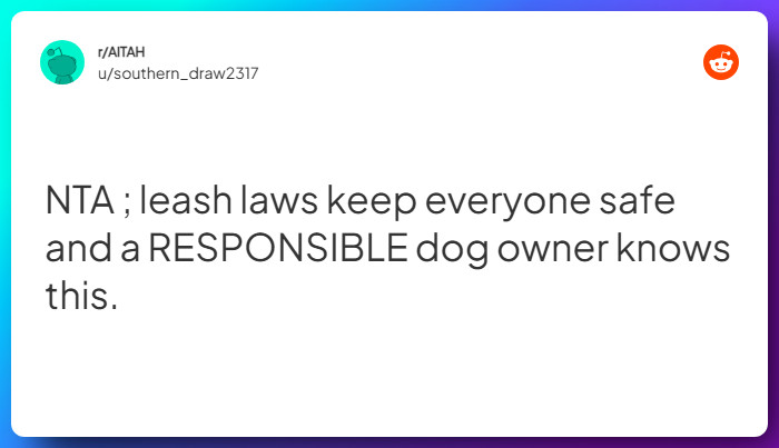 Comment from u/southern_draw2317