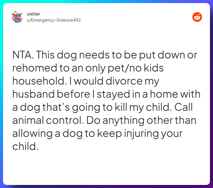 Comment from u/Emergency-Science492