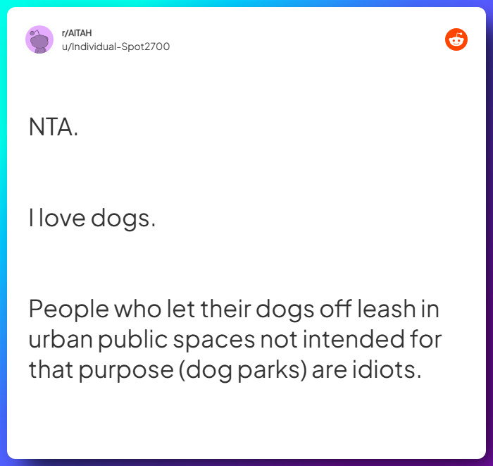 Comment from u/Individual-Spot2700