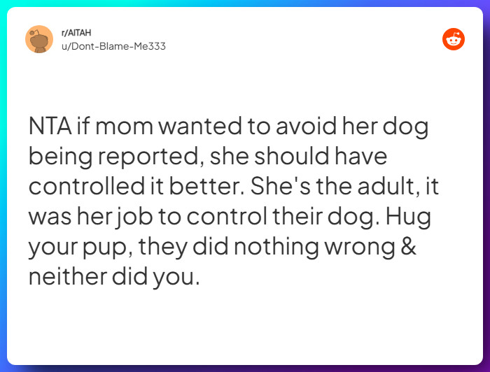 Comment from u/Dont-Blame-Me333