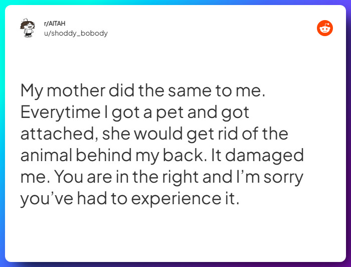 Comment from u/shoddy_bobody