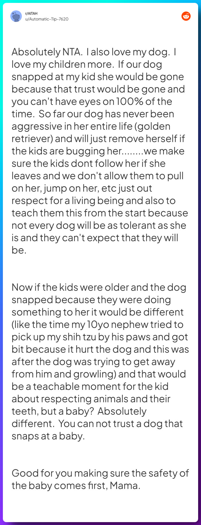 Comment from u/Automatic-Tip-7620