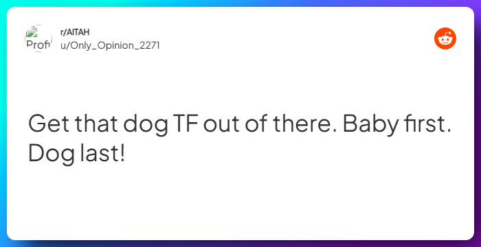 Comment from u/Only_Opinion_2271