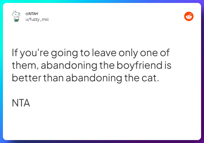 Comment from u/fuzzy_mic