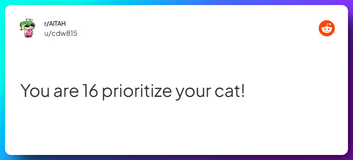 Comment from u/cdw815